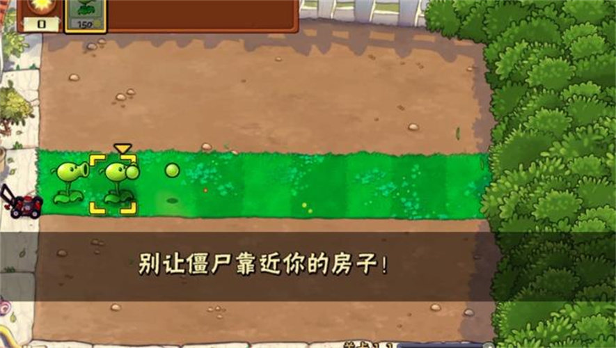植物僵尸War版2