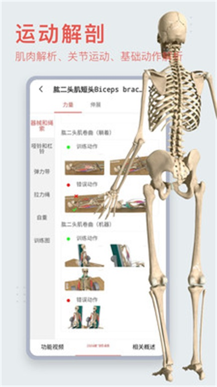 3dbody解剖学1