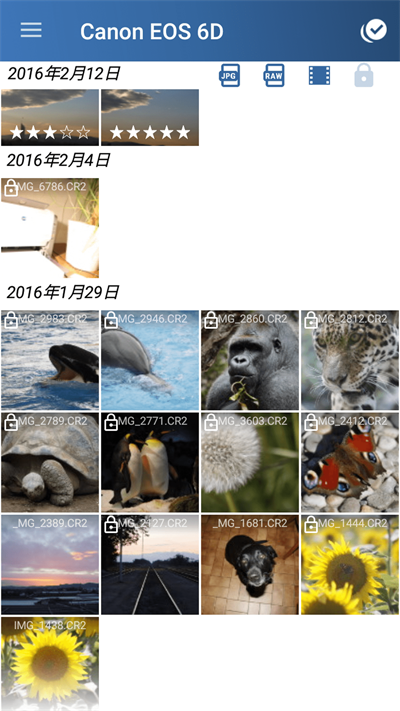 相机连接和控制3