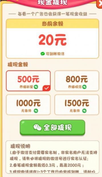 我家猫舍20231
