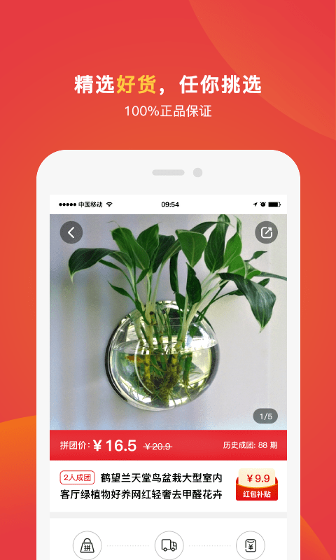 乐团优选1