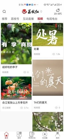 合江荔(枝)红资讯1