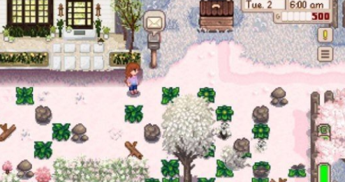 星露谷物语1.5.6联机版3