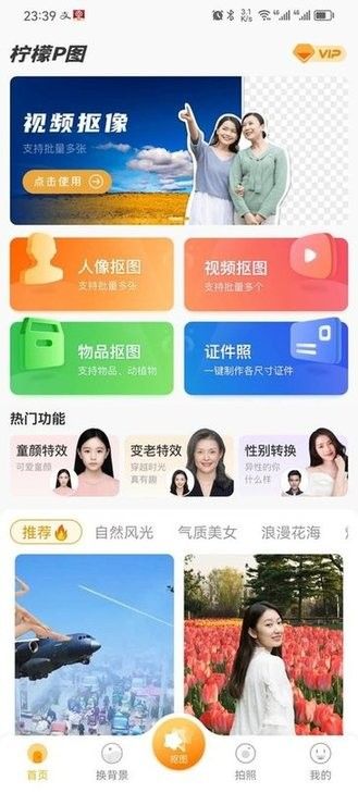 柠檬p图0