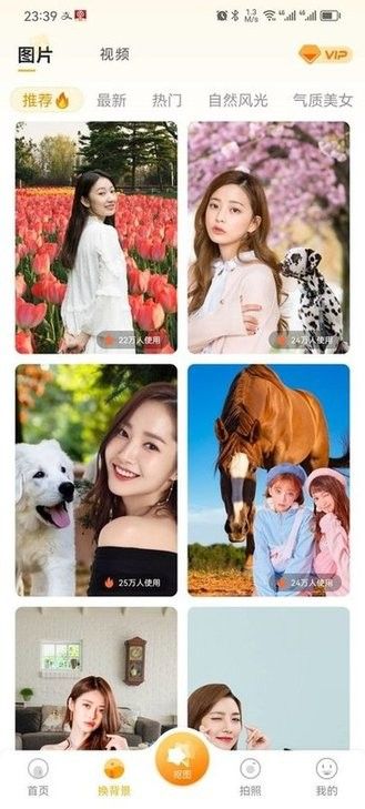 柠檬p图2