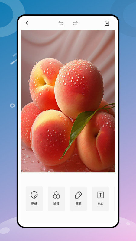 顶萌相机照片处理2