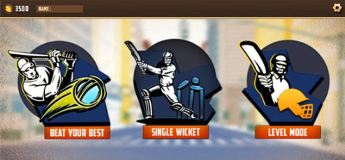 街头板球锦标赛3