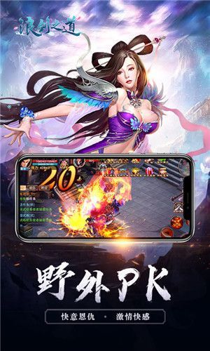 浪剑之道变态版1