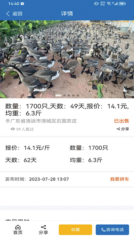鹅先生2