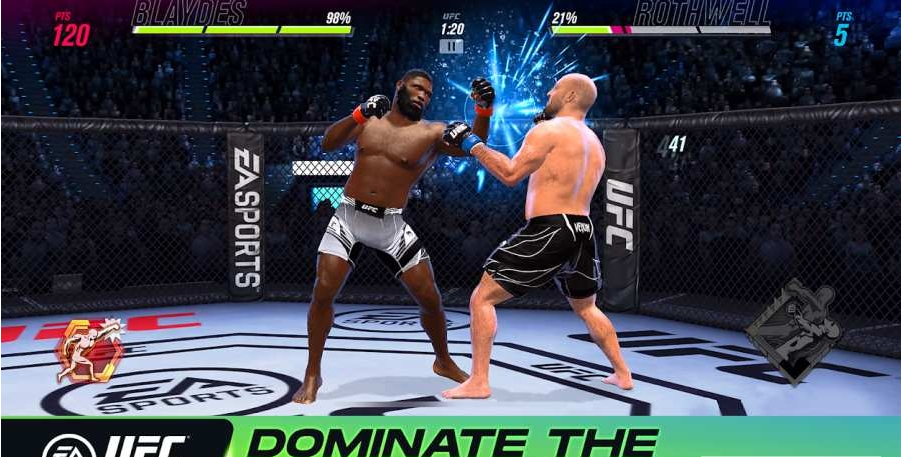 UFC终极格斗冠军22