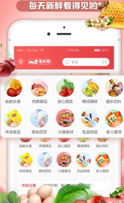 金大狗到家0