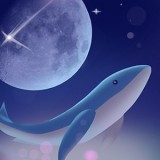 流光之上（闯关答题）