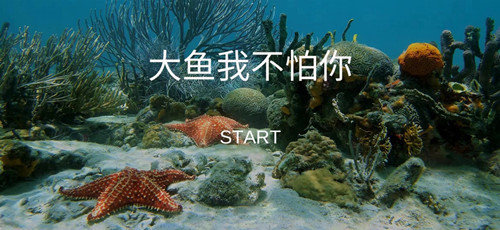 大鱼我不怕你2