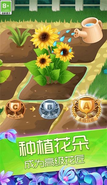 花好月圆2