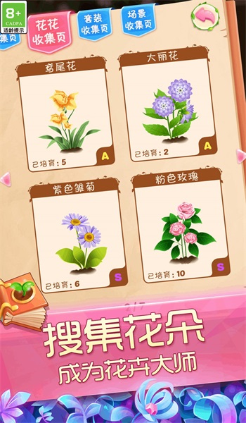 花好月圆3