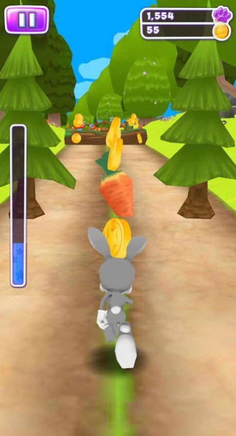 Bunny Run Racing1