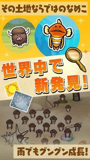 滑子菇栽培套装4