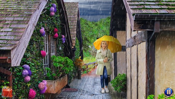 福格角致命事件5