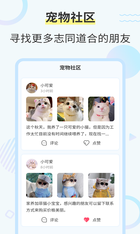 猫咪翻译器2