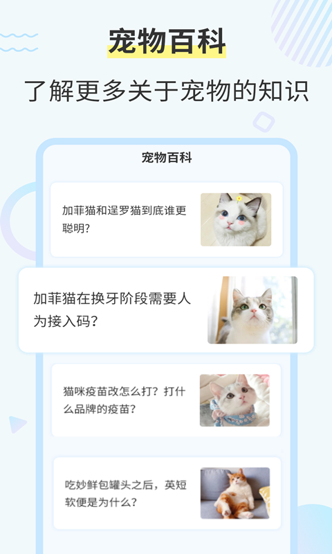 猫咪翻译器4