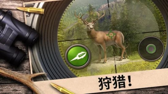 狩猎竞赛3