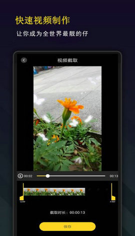 剪影秀秀20230