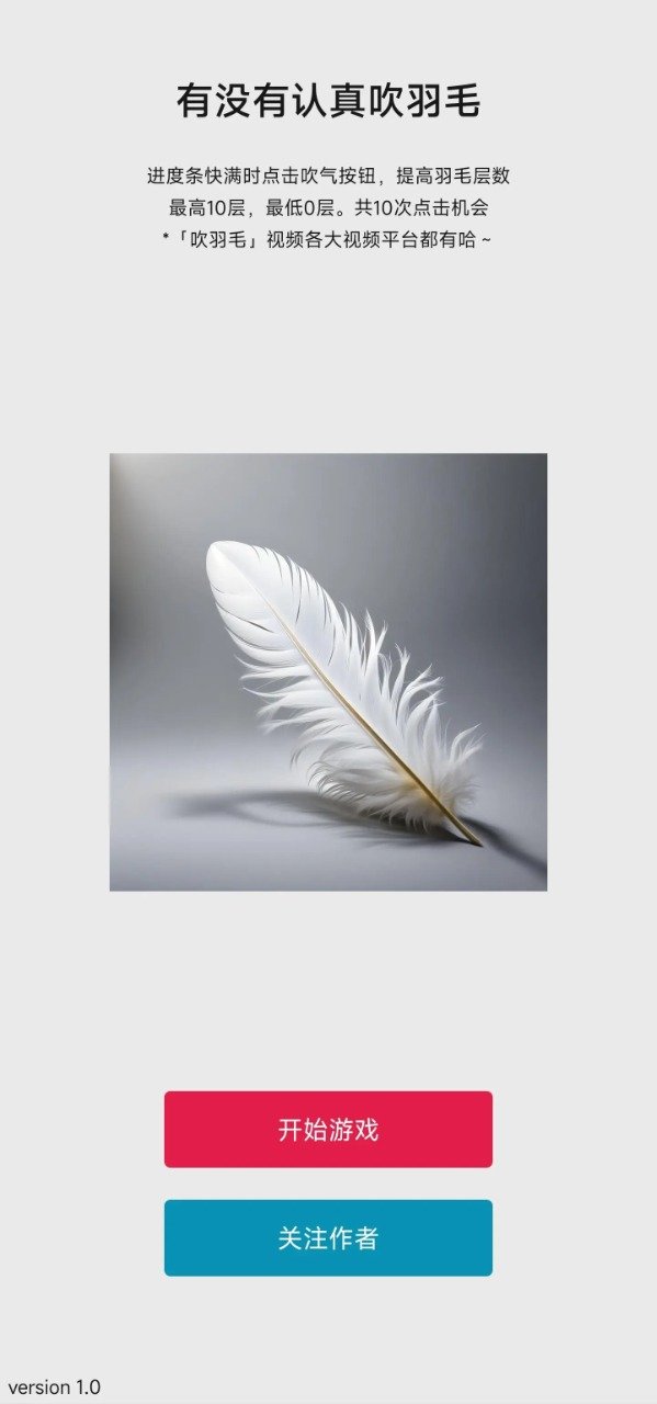 有没有认真吹羽毛0