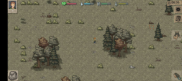 迷你DAYZ1.6.1中文版1