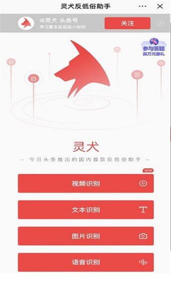 今日头条灵犬2