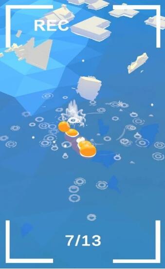 海洋蠕虫1