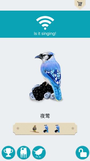 动物的叫声2