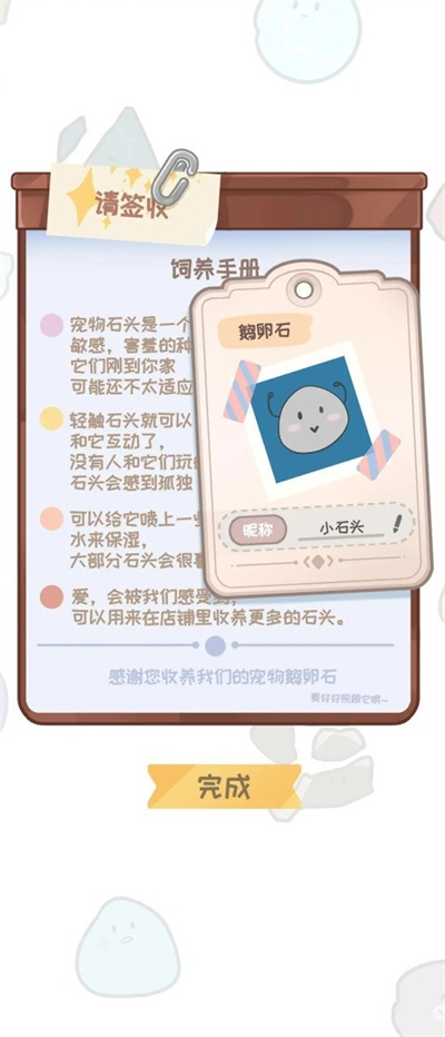 宠物石头1