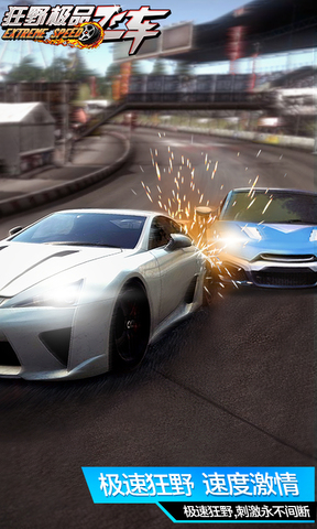 狂野极品飞车1