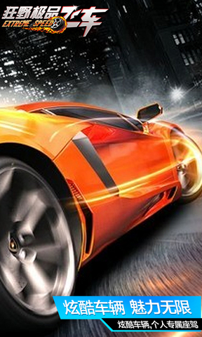 狂野极品飞车2