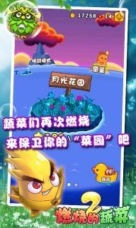 燃烧的蔬菜21