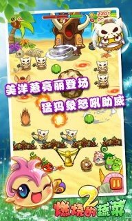 燃烧的蔬菜22