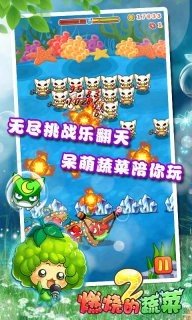 燃烧的蔬菜24