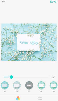 Palette Tiffany0