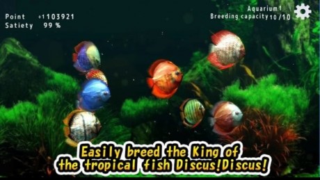 热带鱼水族馆 热带鱼水族馆