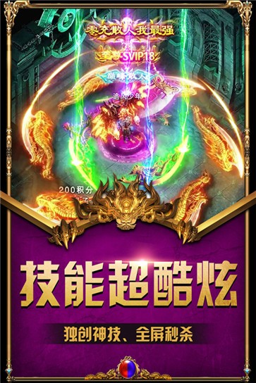 飞鸿星王1