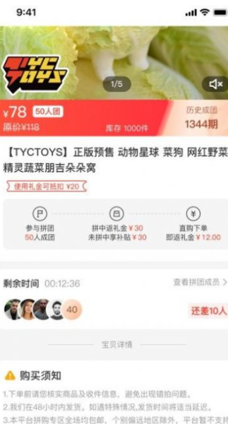 百乐猫1