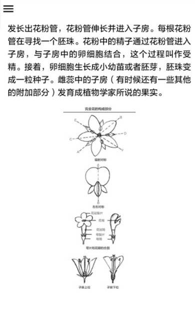 野外植物识别手册0