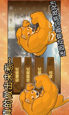 动物之战2免广告版1