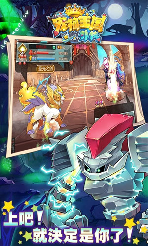 宠物王国外传全部宠物满级版2