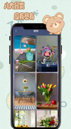 元气小熊壁纸超高清1