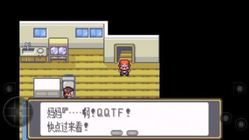 口袋妖怪黑白中文版3