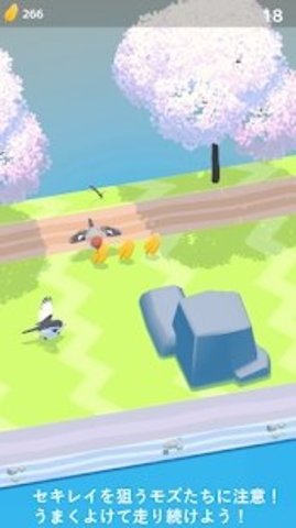 深棕色的麻雀 深棕色的麻雀