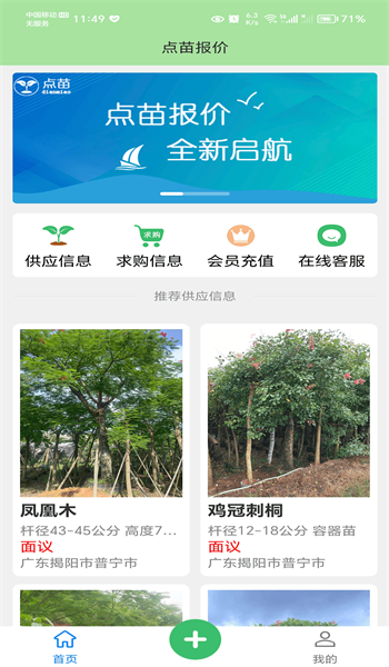 点苗报价2
