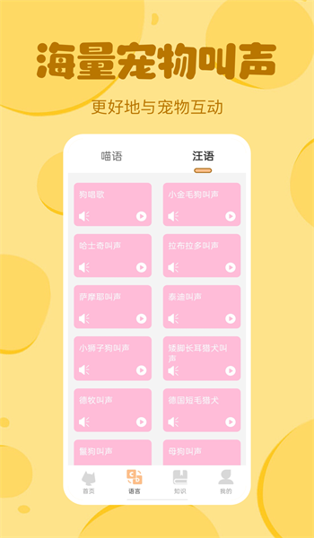 喵喵猫狗翻译器0