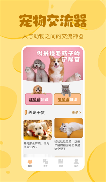 喵喵猫狗翻译器1